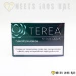Heets Terea Black Green Indonesia - Image 3