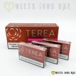 Terea Bronze Indonesian - Image 4