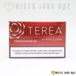 Terea Bronze Indonesian - Image 3