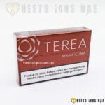 Terea Bronze Indonesian - Image 2