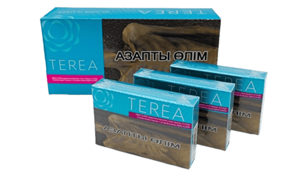 Terea Kazakhstan